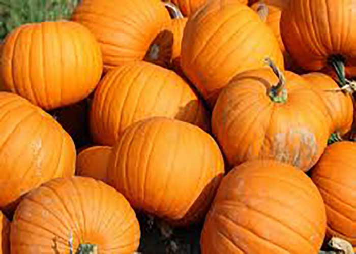 Calabaza con queso crema