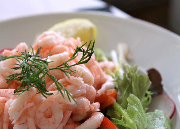 Ceviche de camarones