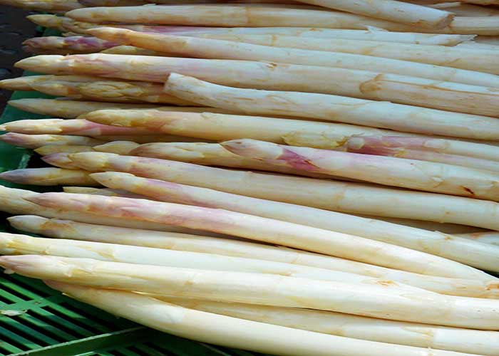 Espárragos blancos cocidos