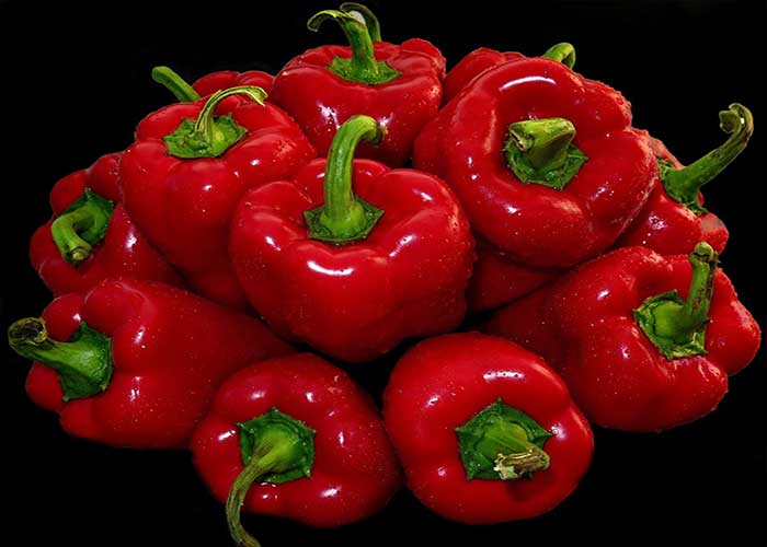 Pimientos del piquillo rellenos de ensalada de puerros